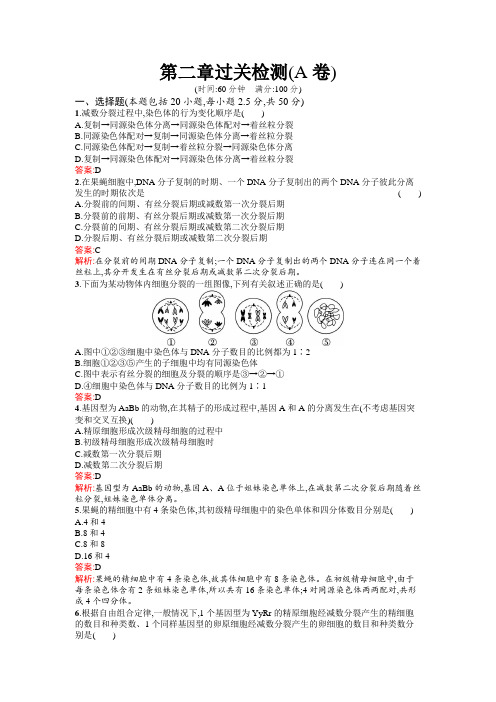 浙科版高中生物必修2第二章过关检测(A卷)