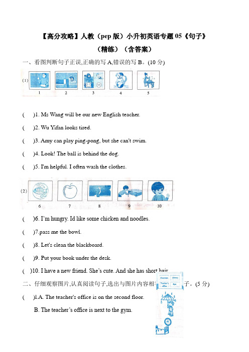 人教(pep版)小升初英语专题训练与梳理 5《句子》