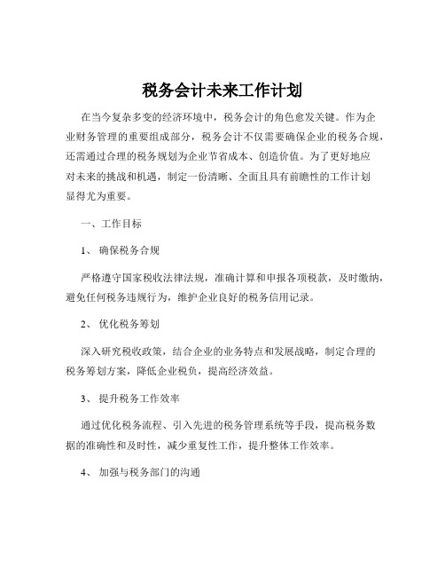 税务会计未来工作计划