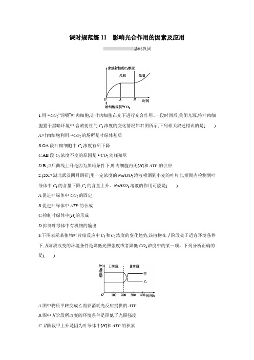 2019高考总复习优化设计1轮生物人教课时规范练11 影响光合作用的因素及应用(附答案)