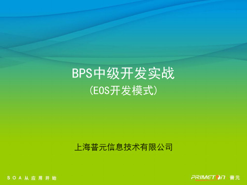 某信息技术公司BPS中级开发实战(ppt 32页)