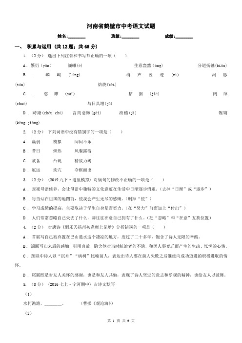 河南省鹤壁市中考语文试题