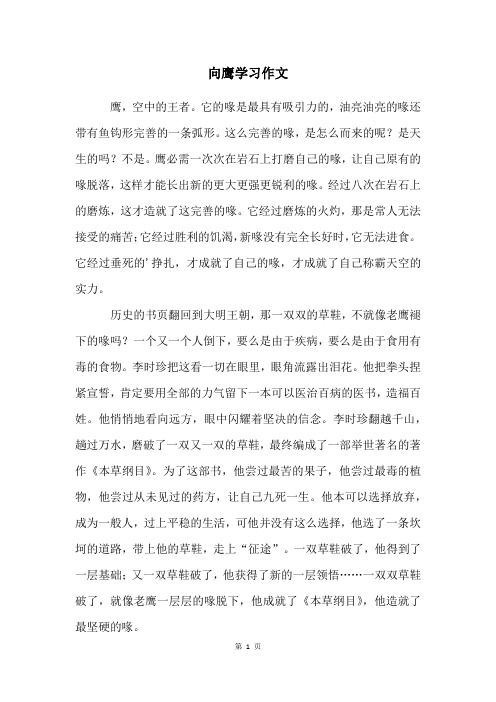 向鹰学习作文