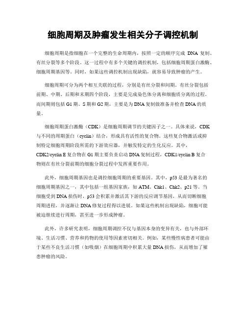 细胞周期及肿瘤发生相关分子调控机制