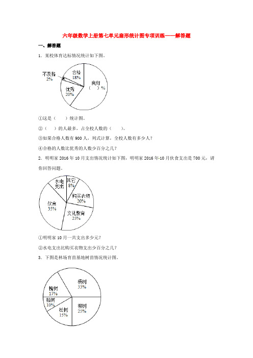 六年级数学上册第七单元扇形统计图专项训练——解答题(人教版,含答案)