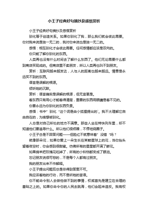 小王子经典好句摘抄及感悟赏析