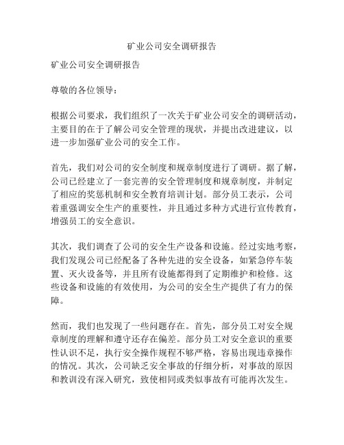 矿业公司安全调研报告