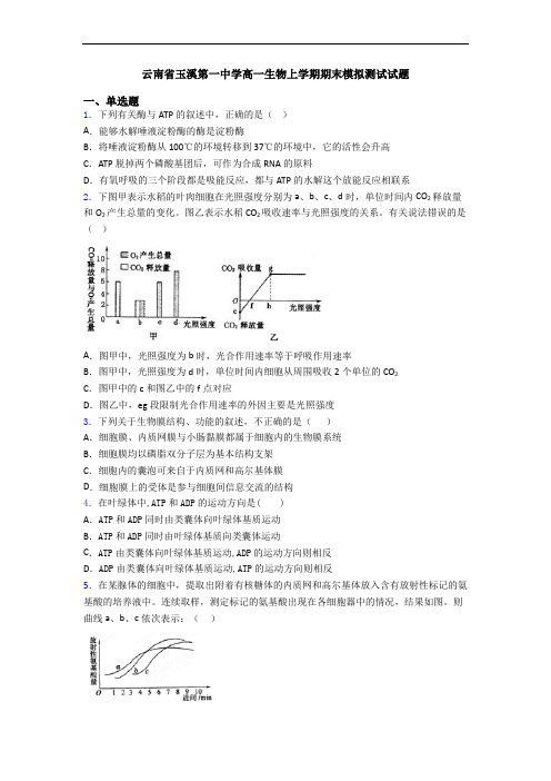 云南省玉溪第一中学高一生物上学期期末模拟测试试题