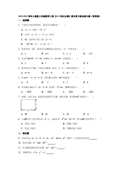 2022-2023学年人教版八年级数学上册《14-3因式分解》期末复习综合练习题(附答案)