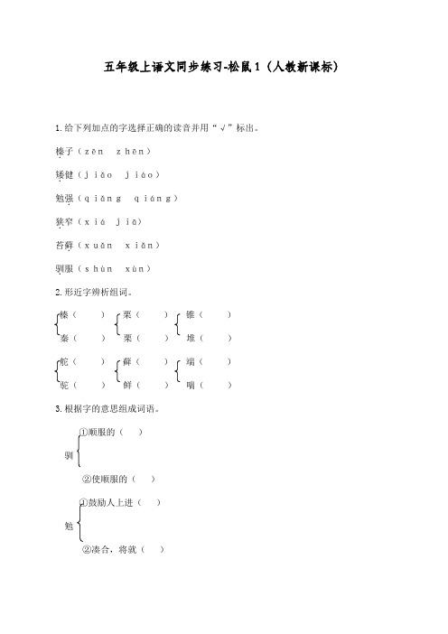 最新部编人教版五年级上册语文同步练习《松鼠》课课练习题