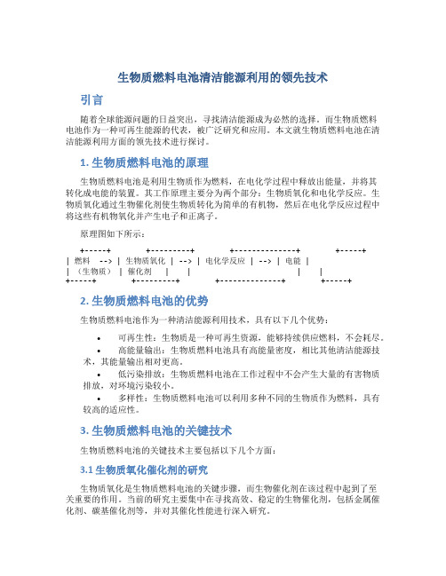 生物质燃料电池清洁能源利用的领先技术