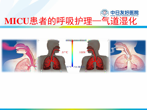 呼吸病培训班课件：MICU患者的呼吸护理—气道湿化