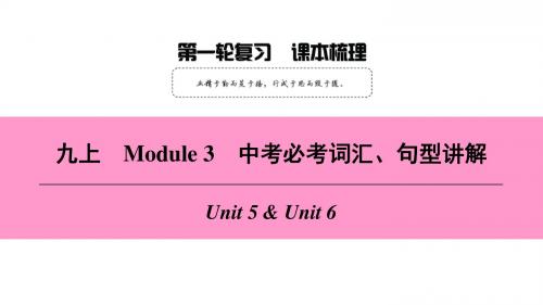深圳英语九年级上册 Module 3 Leisure time课本梳理