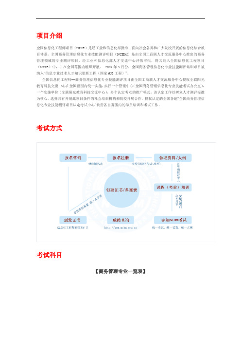 全国信息化工程师项目(NCIE)