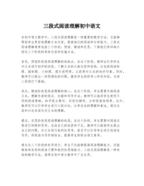 三段式阅读理解初中语文