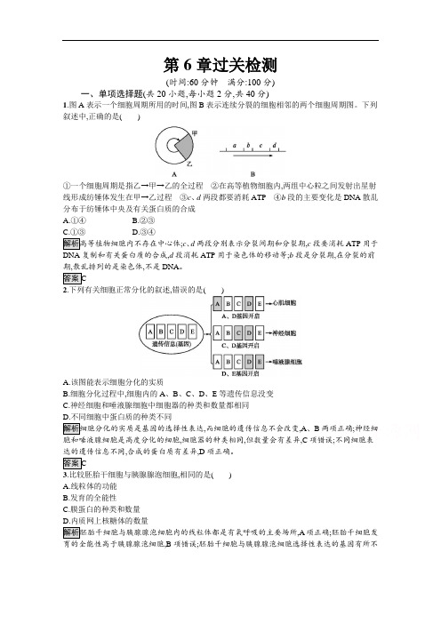 2020-2021学年新教材生物人教版必修第一册课后提升训练：第6章 细胞的生命历程 过关检测 Wo