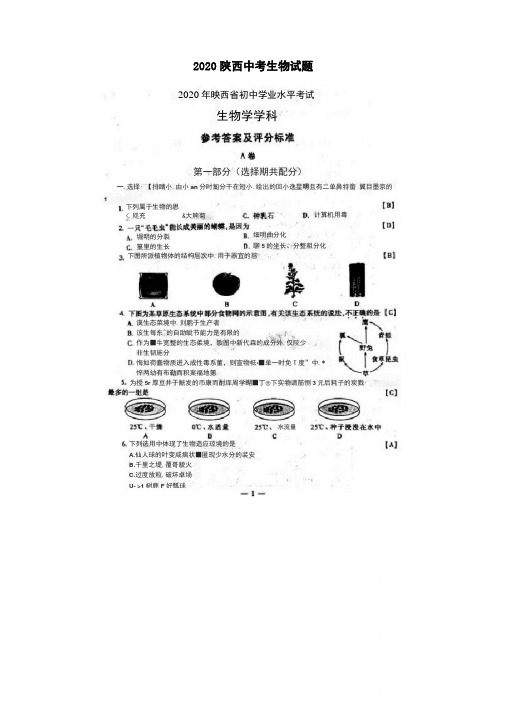 2020陕西中考生物试题含答案