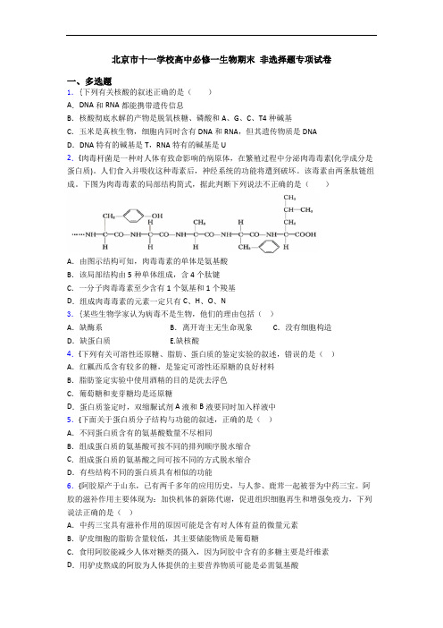 北京市十一学校高中必修一生物期末 非选择题专项试卷