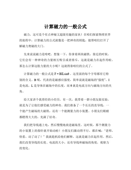 计算磁力的一般公式