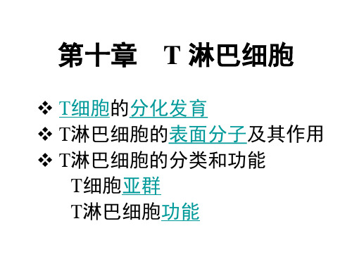 医学免疫学课件 第10章 T 淋巴细胞