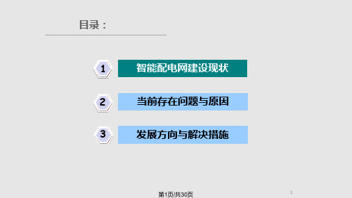 报告一智能配电网建设现状与发展趋势PPT课件