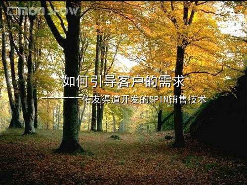 渠道开发SPIN销售技巧培训