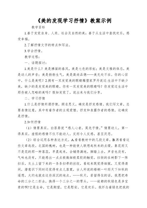 《美的发现学习抒情》教案示例