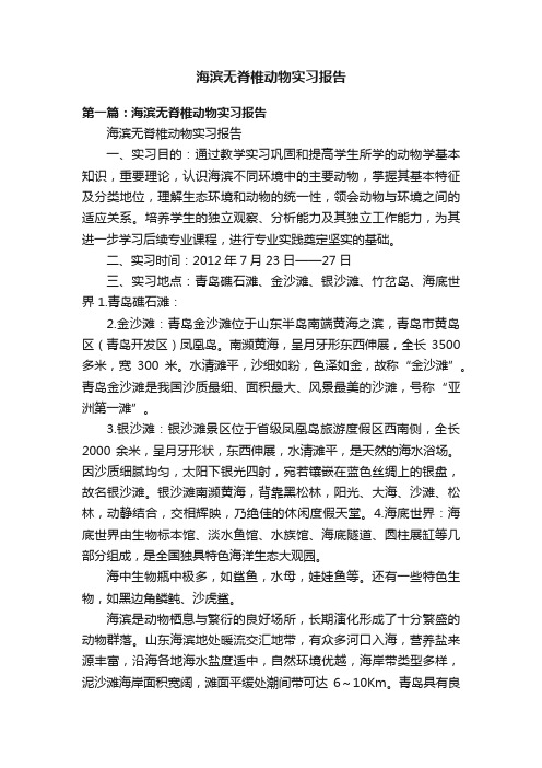 海滨无脊椎动物实习报告