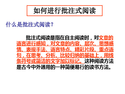 初中语文如何进行批注式阅读