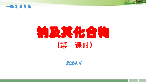 2024年一轮复习专题-钠及其化合物(第一课时)