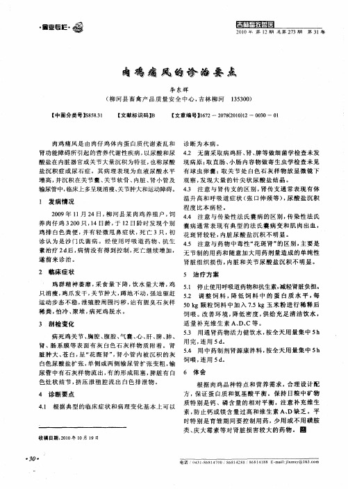肉鸡痛风的诊治要点