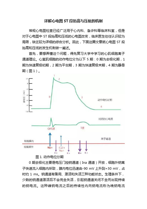 详解心电图ST段抬高与压低的机制