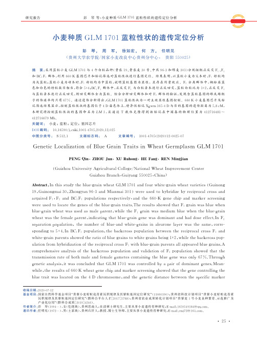 小麦种质GLM 1701蓝粒性状的遗传定位分析