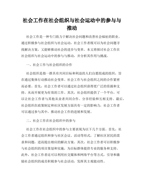 社会工作在社会组织与社会运动中的参与与推动