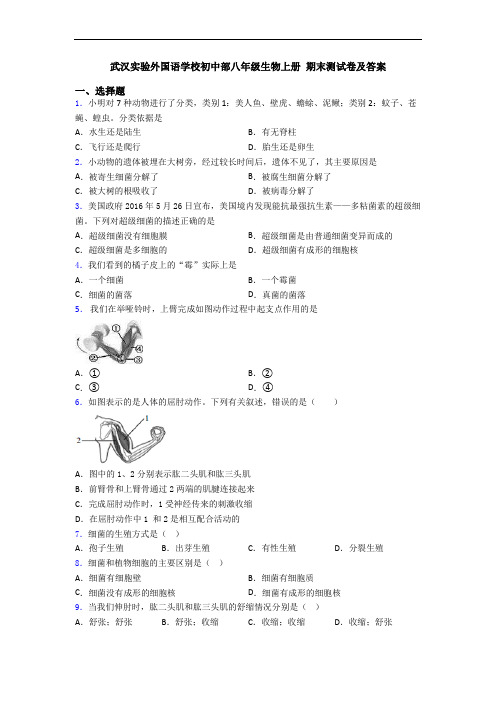 武汉实验外国语学校初中部八年级生物上册 期末测试卷及答案