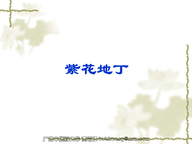 全草类中药2