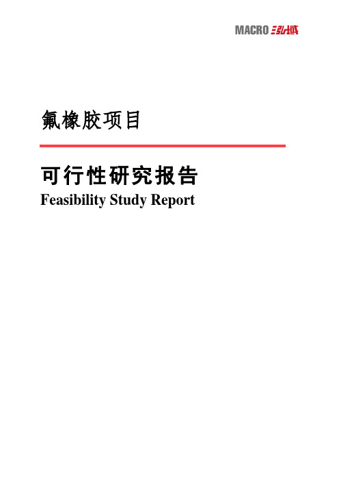 氟橡胶项目可行性研究报告