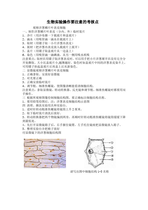 生物实验操作要注意的考核点2