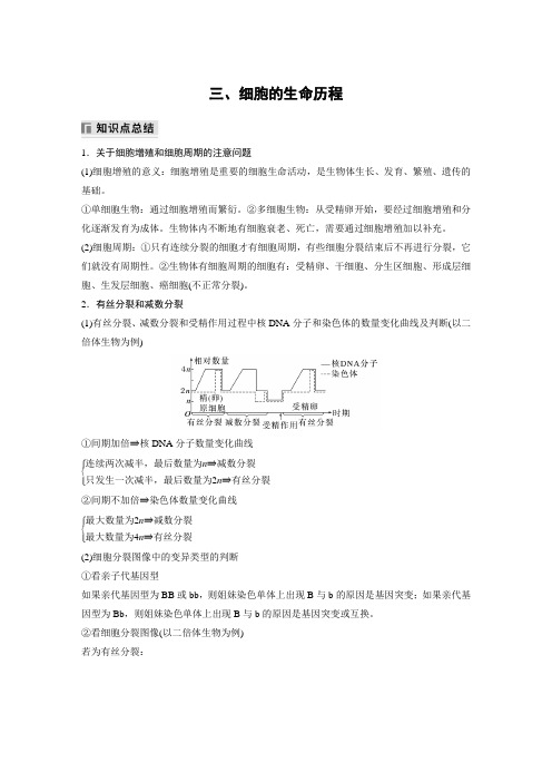 生物新高考第二篇 第一部分 三、细胞的生命历程