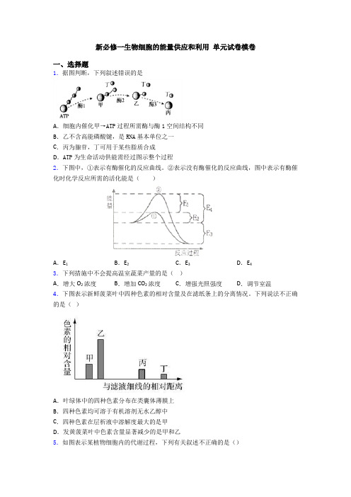 新必修一生物细胞的能量供应和利用 单元试卷模卷