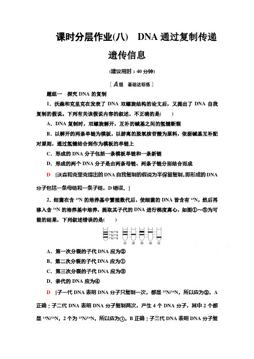 新教材2020-2021学年浙科版高中生物课时作业-3.3DNA通过复制传递遗传信息-含解析