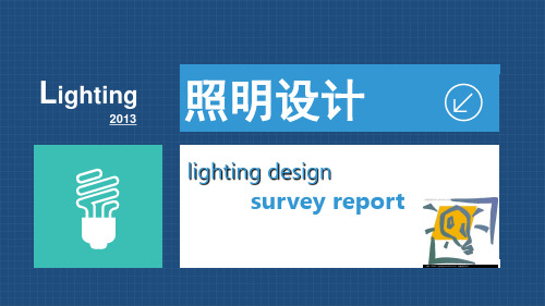 照明设计灯具市场调研PPT