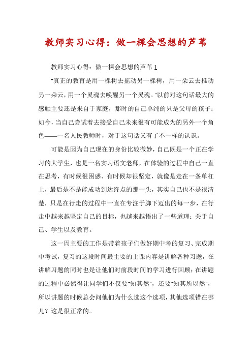 教师实习心得：做一棵会思想的芦苇