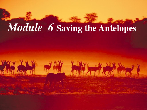 高中英语说课Module  6 Saving the Antelopes