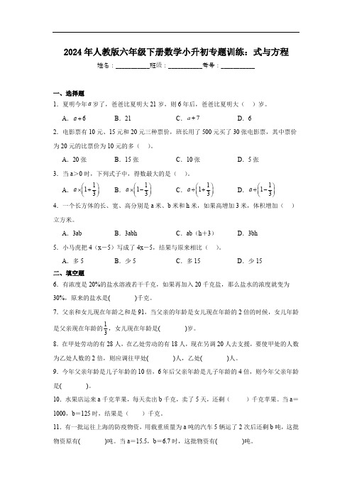 2024年人教版六年级下册数学小升初专题训练：式与方程(含解析)