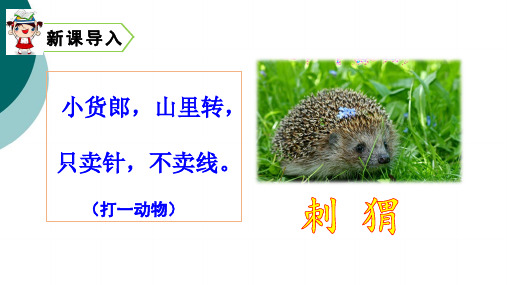 部编版三年级上册最新 23-带刺的朋友ppt