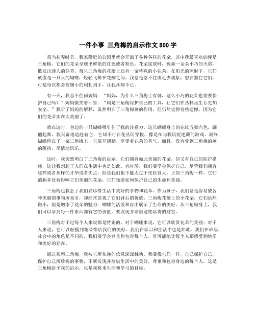 一件小事 三角梅的启示作文800字