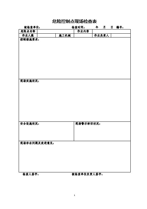 危险控制点现场检查表