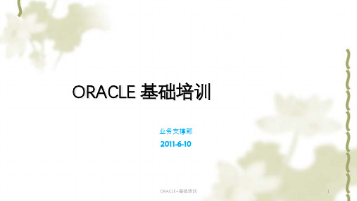 ORACLE+基础培训ppt课件