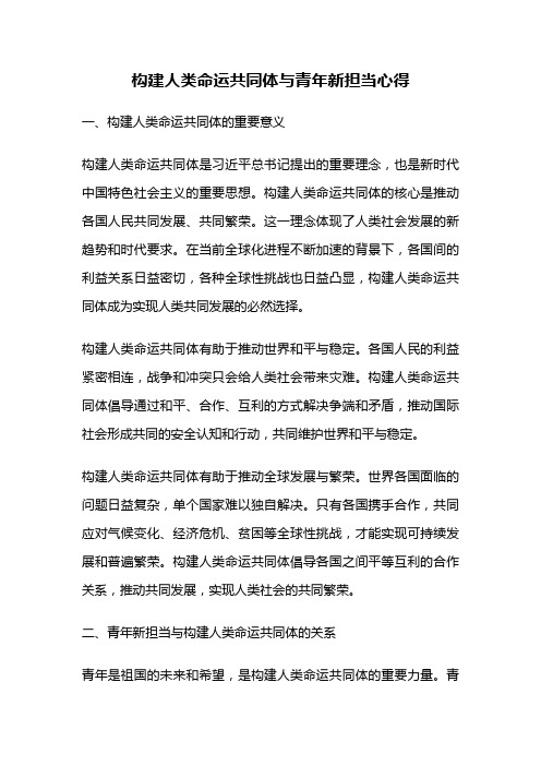 构建人类命运共同体与青年新担当心得